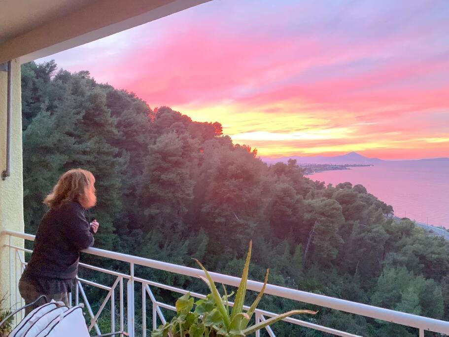Amfiteatrico Sea View - Kalamos Attiki Lägenhet Markopoulon Oropou Exteriör bild